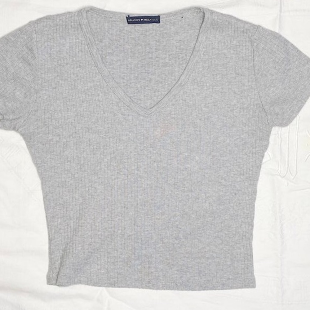 Brandy Melville Ashlyn Top in Gray